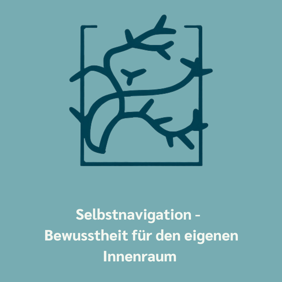 Selbstnavigation