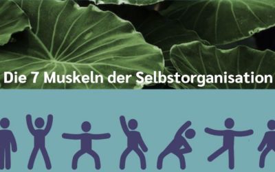 Die sieben Muskeln der Selbstorganisation