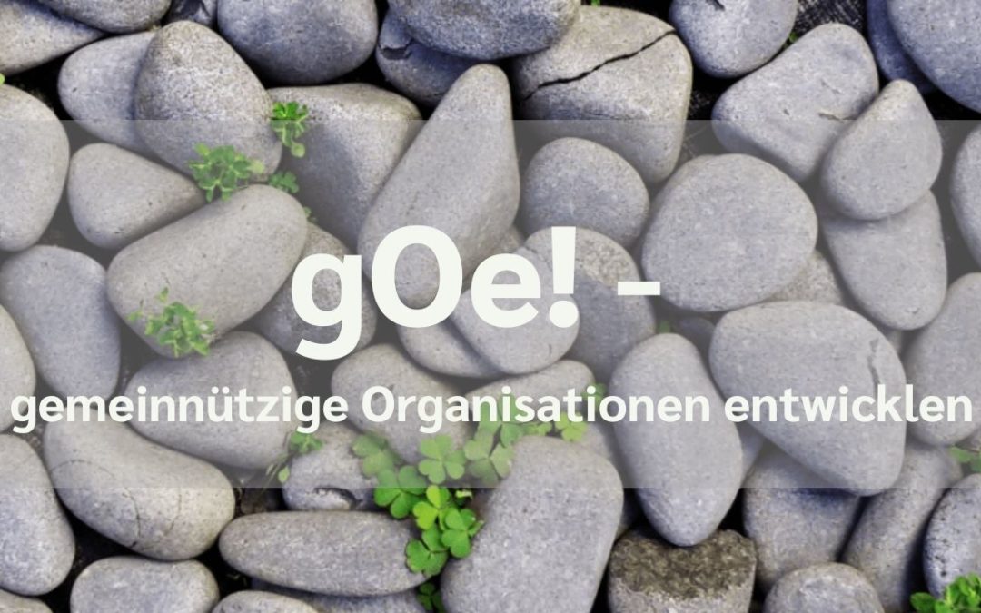 SOCIUS Werkstattzyklus: gOe! – gemeinnützige Organisationen entwickeln in Berlin