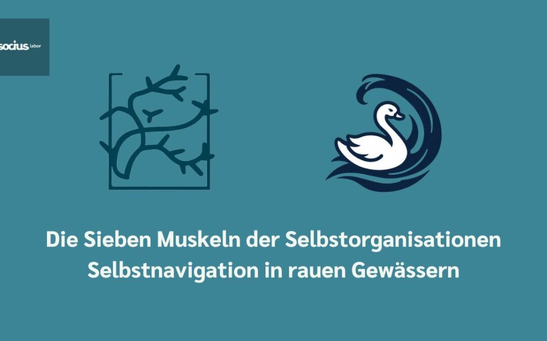 SOCIUS labor live: Selbstnavigation in rauen Gewässern.