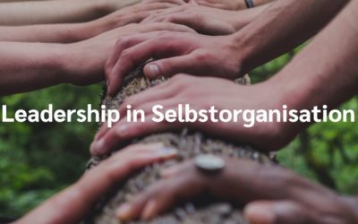 SOCIUS forscht zusammen mit Euch zu Selbstorganisation und Leadership