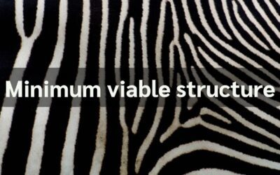 Minimum Viable Structure