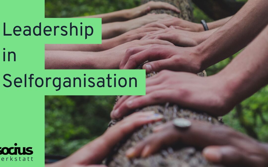 SOCIUS Forschungswerkstatt: Leadership in Selforganisation