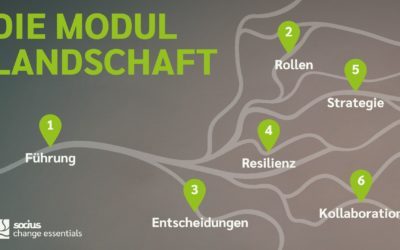 CLEE – Community Learning für Ehrenamtliche und Entscheidungsträger:innen