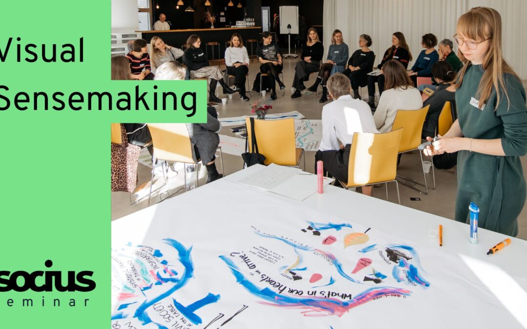 SOCIUS Seminar: Visual Sensemaking