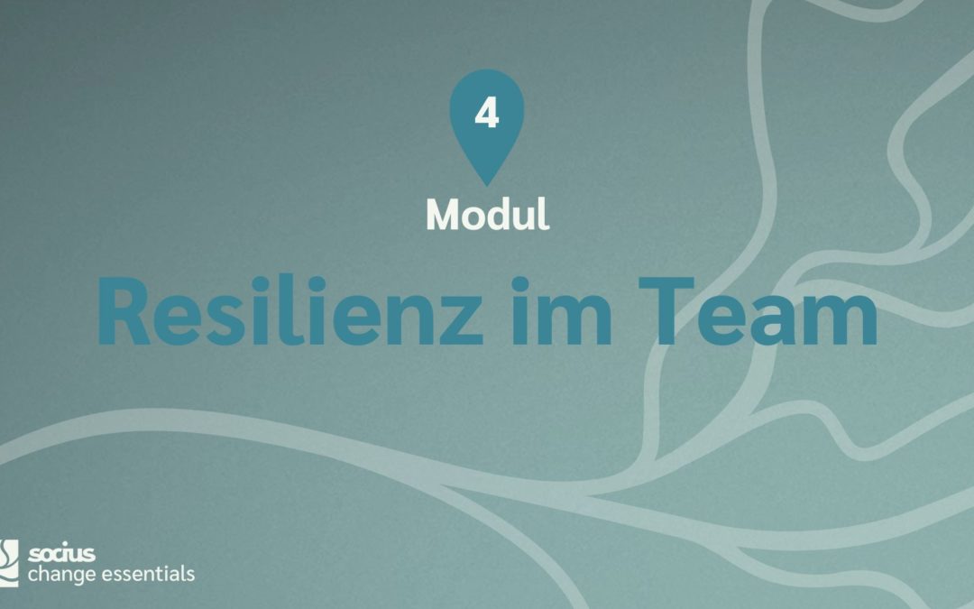 SOCIUS change essentials Workshop: Resilienz im Team